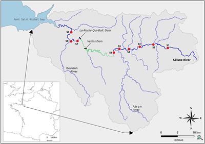 Effects of large dams on the aquatic food web along a coastal stream with high sediment loads
